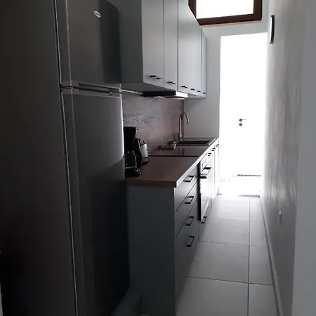κύκνος Apartment *